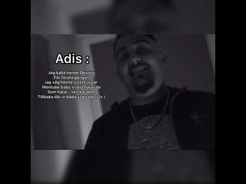 Saliboy Ft Montana & Adis - Destiny ( LYRICS )