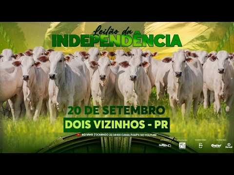 Leilão da Independência - Comemoração 35 anos SRVI, DOIS VIZINHOS/PR - 20/09/2026 14:00h