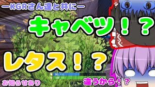 【ゆっくり実況】ブッシュはキャベツだったのか…KGRさん達と共に！【フォートナイト】