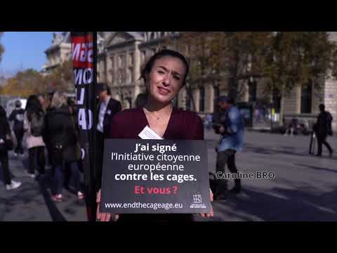 Personnalités, élus, ONG : tous unis pour mettre fin à l'élevage en cage !