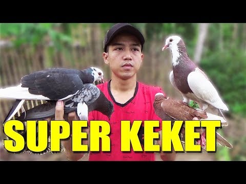 download lagu mp3 mp4 Super Keket, download lagu Super Keket gratis, unduh video klip Super Keket