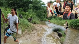 Buffalo attacked us on picnic day🤣|Northeast India