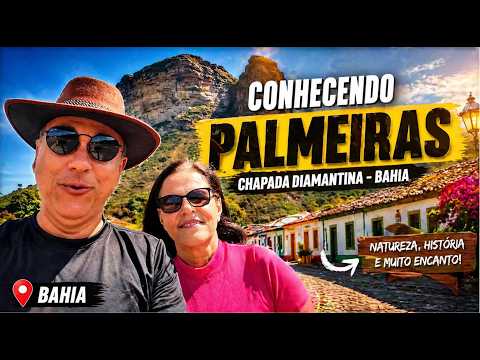 Palmeiras da Chapada Diamantina - Bahia