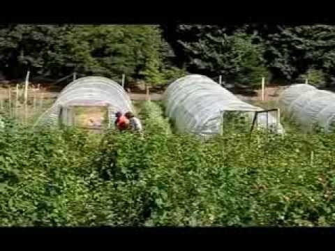 River Cottage   Gone Fishing Episode 1