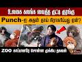 உலகை கலங்க வைத்த குட்டி குரங்கு Punch ஐ அ�
