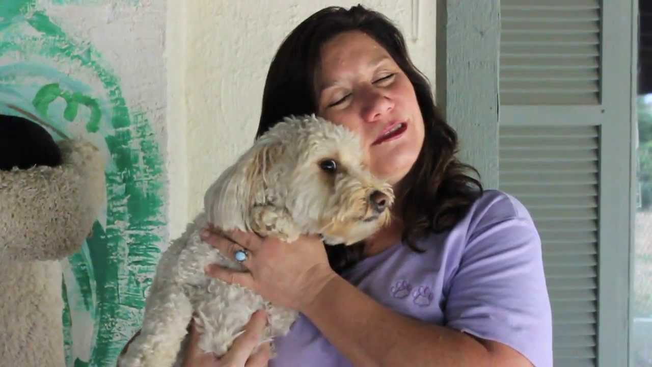 This is a business profile for Judy Jackson who runs a kennel on her property