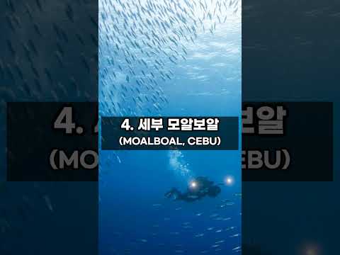 필리핀 다이빙 포인트 TOP8