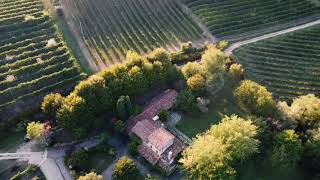 Prosecco Hills, Conegliano | Veneto | Dji Mavic Mini 2