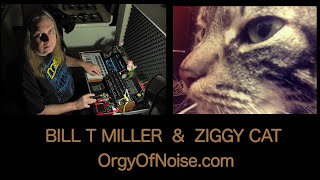 ZiggyCat Purr FieldScaper Leaf Blower Orgy Of Noise Bill T Miller Drone Session