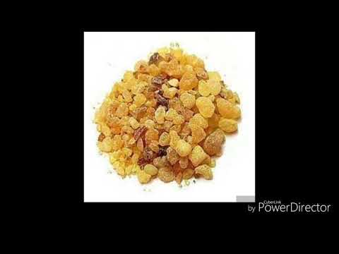 download lagu mp3 mp4 Lubaan, download lagu Lubaan gratis, unduh video klip Lubaan