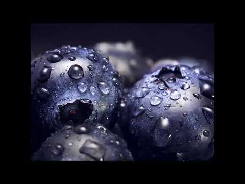 Rauschbeere, Heilpflanze