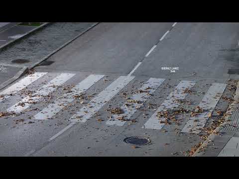 Queralt Lahoz - Sntk (Visualizer)