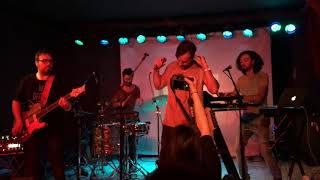 Animali Metasociali Music Video