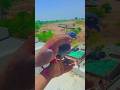 Kabootar Ki Video Kabootar Status All Kabootar Lovers Pigeon Short Tranding Kabootar