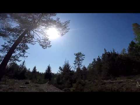 Värmeböljan fortsätter