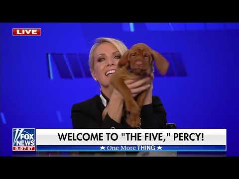 Dana On The Five