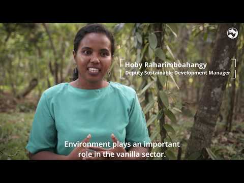 Symrise Vanilla  -  Precious Environment