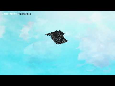 Video thumbnail for Sobrevolando