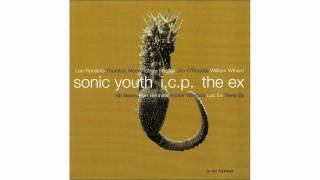 Sonic Youth + I.C.P. + The Ex - X - In The Fishtank 9