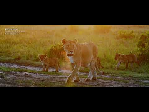 SIGMA Fotosafari 2019