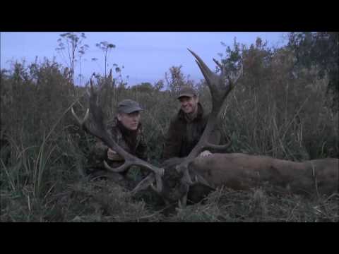 Der kapitale Hirsch als krönender Abschluss!