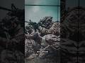 Marcos Commando Status Video Marcos Commando Status Marcos Attitude Shorts