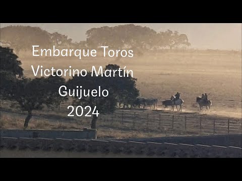 Embarque Toros Victorino Martín para Guijuelo 2024