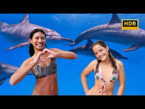 Ani & Taylor's Hawaii Surf Adventure 🌈  8K HDR