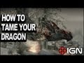 Skyrim Dragonborn DLC How To Tame Your Dragon