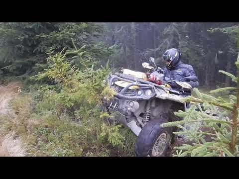 Rumunsko Perla Padurii 17