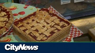 Ranking Canada's favourite pies on Pi Day