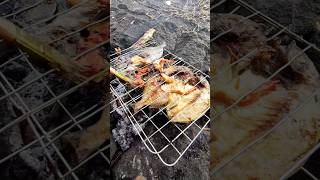 Download lagu Survival di Pantai Bali. #survival #pantaibali #bali mp3 Download lagu Survival di Pantai Bali. #survival #pantaibali #bali mp3