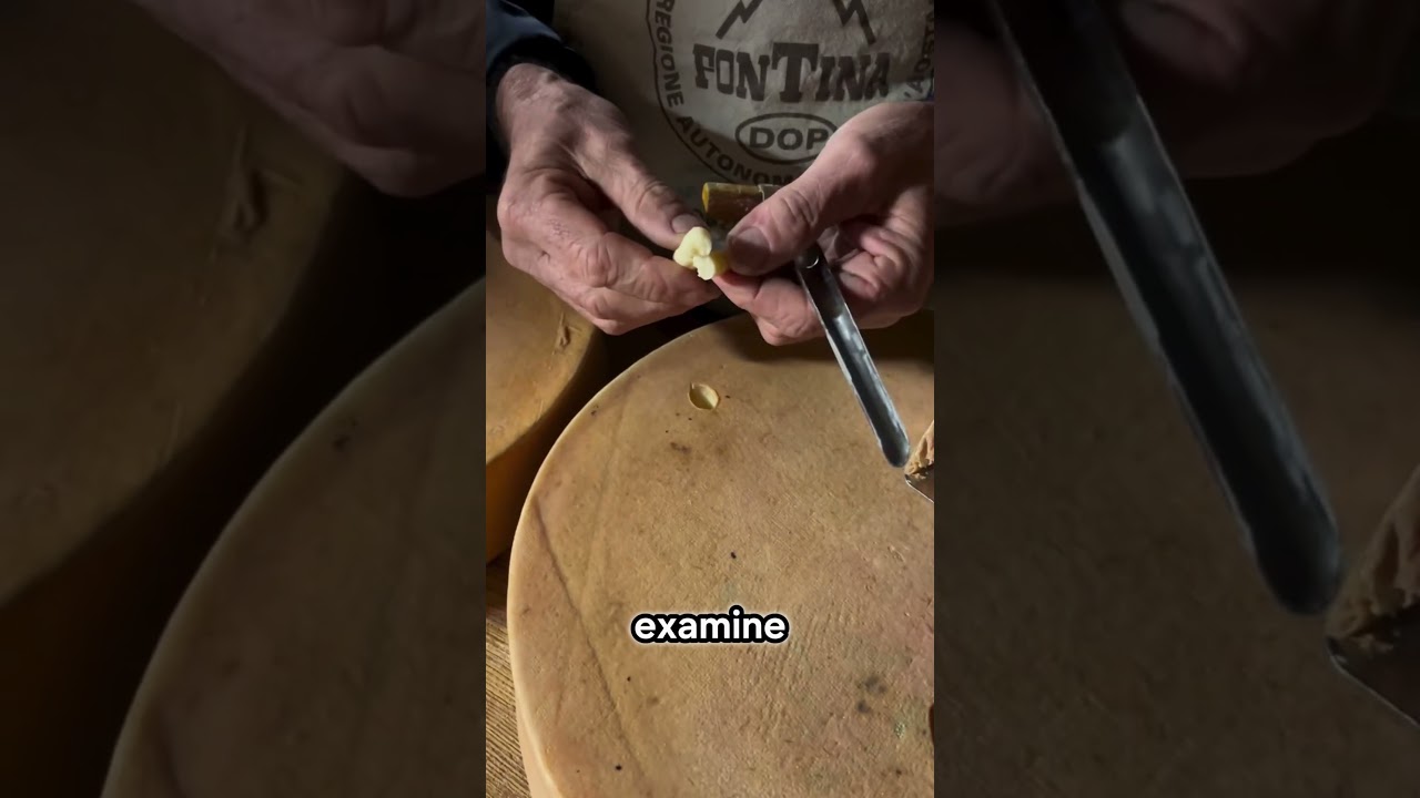 This Is How Real Cheese Gets Approved (@thequendoz)