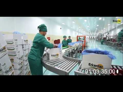 download lagu mp3 mp4 Turkish Raisins, download lagu Turkish Raisins gratis, unduh video klip Turkish Raisins