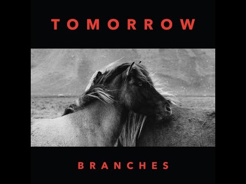 Branches // Tomorrow