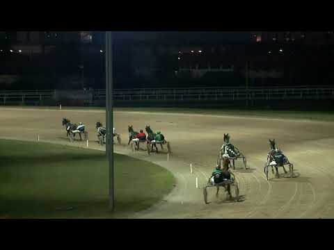 2020.12.26. 06. futam - ELEFÁNT DÍJ