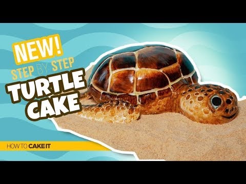How To Make A TURTLE CAKE by Shannon Murphy | How To Cake It Step By Step