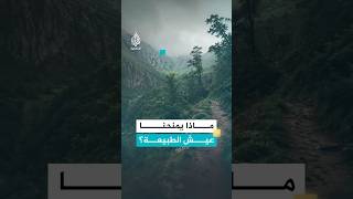 ماذا يمنحنا عيش الطبيعة؟