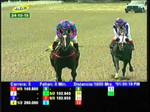 Resumen Sábado, 24 de Octubre de 2015 - La Rinconada