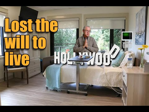 Hollywood has lost the will to live.