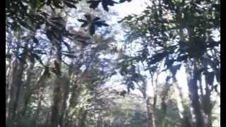 The Lost Mansion of Baron Hill, Anglesey, Wales