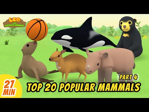 Top 20 Popular Mammals Minisode Compilation (Part 4/4) - Leo the Wildlife Ranger | Animation