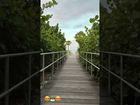 Beautiful Beach boardwalk💗