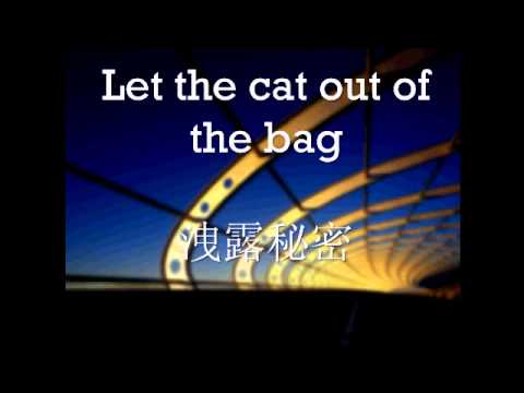 猫を袋から出す (Let the cat out of the bag)