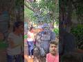Dance Funny Monkey Animals Cute Punjabisong Song Newsong Punjabi Comedy