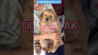 Download lagu BADAN EMBUL MERIANG mp3