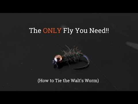 The ONLY Trout Fly You Need - How to Tie the Walt's Worm