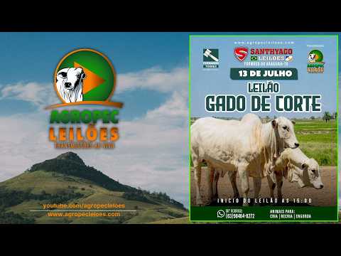 Agropec- LEILÃO GADO DE CORTE | SANTHYAGO LEILÕES |FORMOSO DO ARAGUAIA-TO| 13/07/26