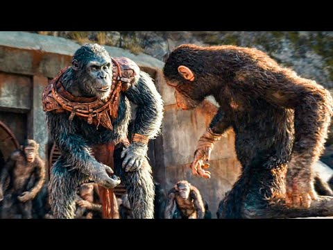 A majmok okosabbak lettek az embereknél és úgy döntöttek rajtuk a sor, hogy uralják a világot