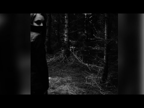 ZVLP DYMA - ГЛУБИНА